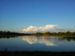 Reflection  